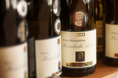 Empfehlung Meinung Bewertung Erfahrung Wein Weingut Pension Rheinhessen Alzey Worms Wonnegau Flörsheim-Dalsheim