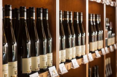 Empfehlung Meinung Bewertung Erfahrung Wein Weingut Pension Rheinhessen Alzey Worms Wonnegau Flörsheim-Dalsheim
